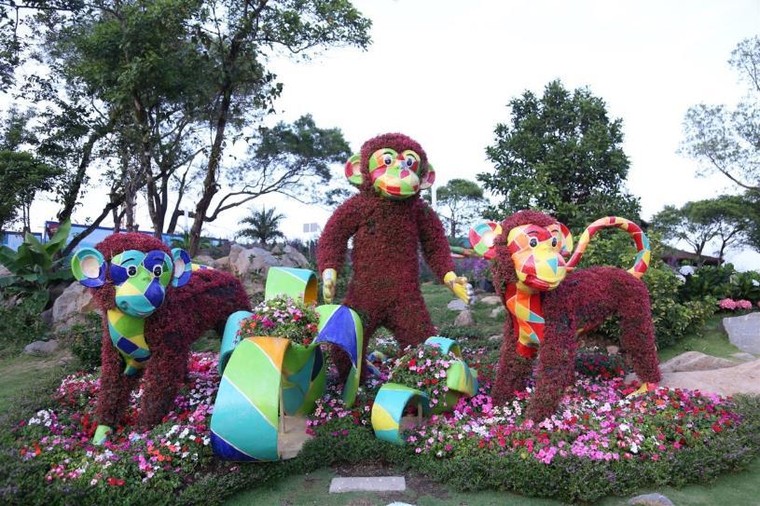 Ngắm nhìn Núi Bà Tây Ninh đẹp vi diệu những ngày đầu xuân ảnh 5