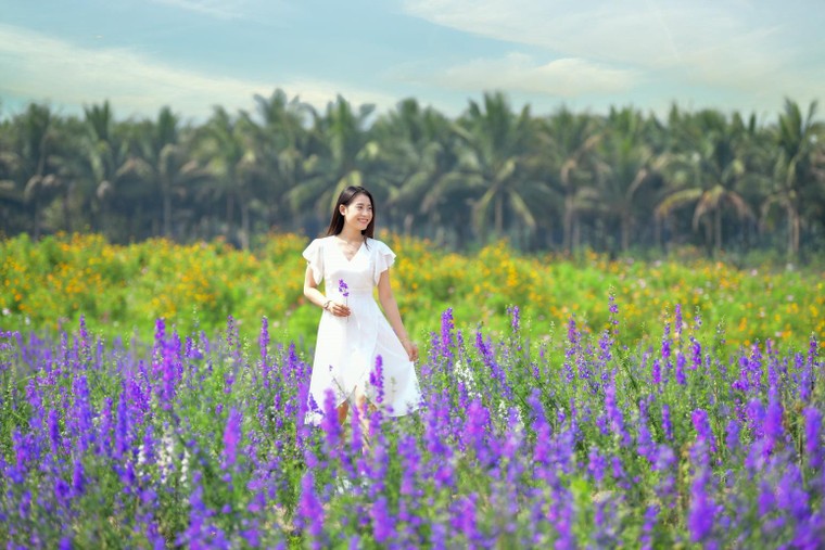 Hơn một triệu bông hồng nở hoa rực rỡ khắp Ecopark ảnh 10