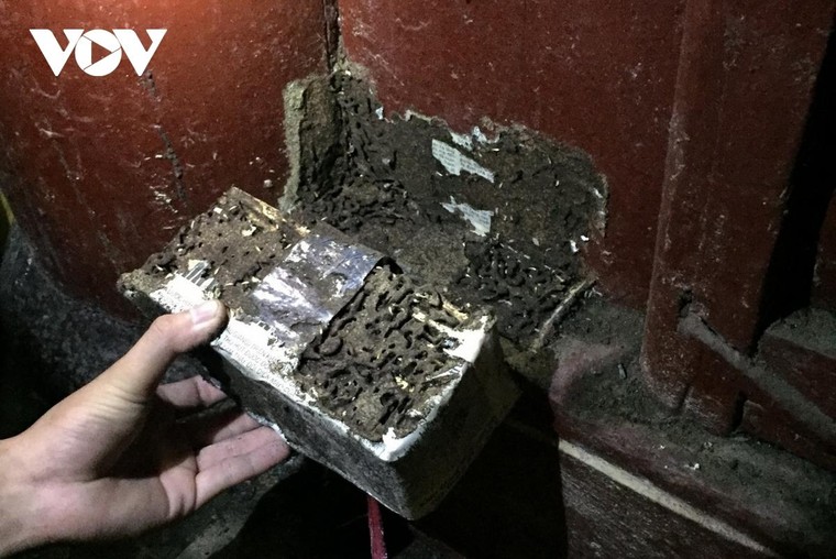 Nhiều di tích ở Hội An bị mối mọt xâm hại nghiêm trọng ảnh 3