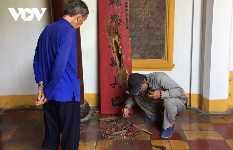 Nhiều di tích ở Hội An bị mối mọt xâm hại nghiêm trọng ảnh 6