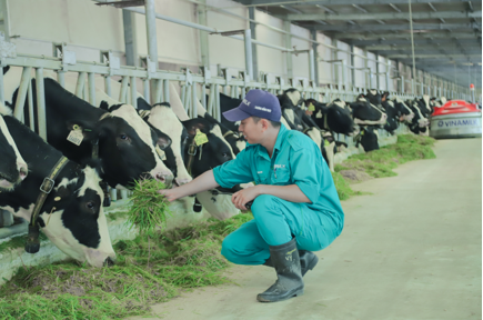 'Vinamilk đủ năng lực đáp ứng mọi nhu cầu thị trường' ảnh 2