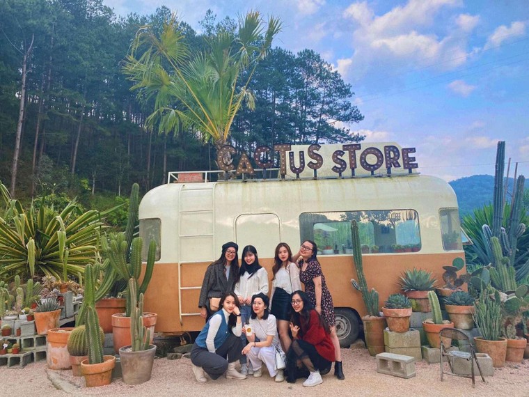 Đón hè rực rỡ, rinh ưu đãi 20% giá vé máy bay với Bamboo Holidays ảnh 1