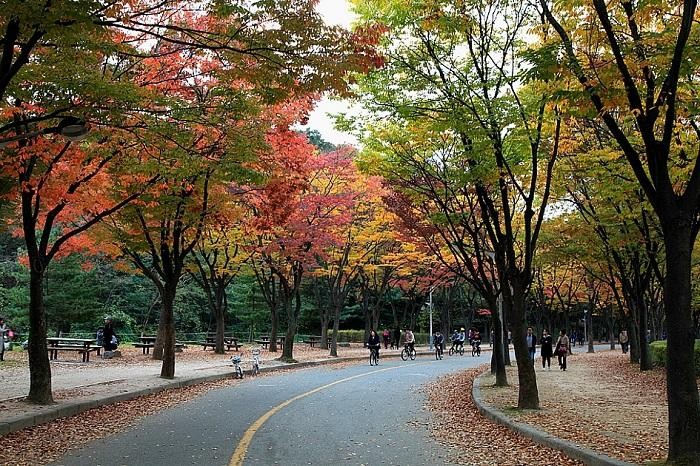 Thoả thích bay quốc tế hè này cùng Bamboo Airways chỉ từ 2.032.000 đồng ảnh 3