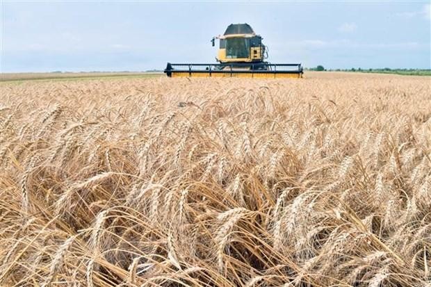 Xung đột Nga-Ukraine: Những hệ lụy khôn lường với kinh tế toàn cầu ảnh 2