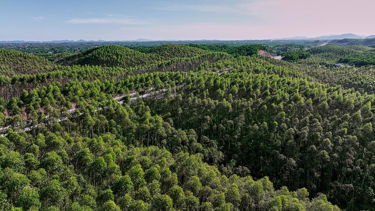 Khám phá tuyến cao tốc Sun Group đầu tư có hệ thống chiếu sáng hiện đại nhất Việt Nam ảnh 9