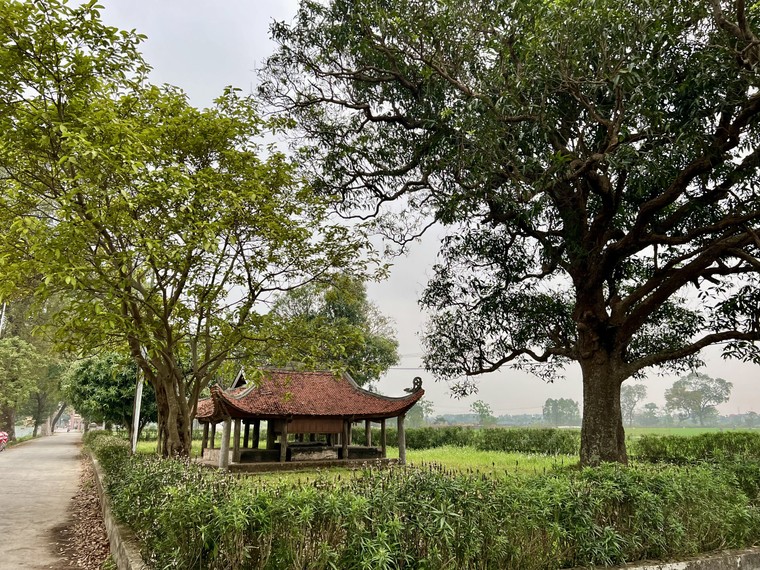 Bóng nhà gỗ kẻ truyền giữa 'cơn lốc' bê tông hóa ảnh 3