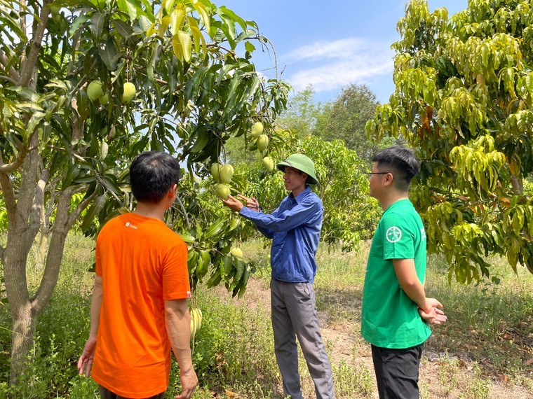 'Tôn Vinh Nông Sản Việt' năm đầu tiên tạo lực đẩy giúp doanh nghiệp tăng gấp 5 lần doanh thu ảnh 4