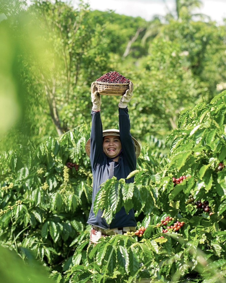 Shopee Tinh Hoa Việt Du Ký 15.9: Chuyện doanh nghiệp Việt 'xông pha' ra thế giới ảnh 3