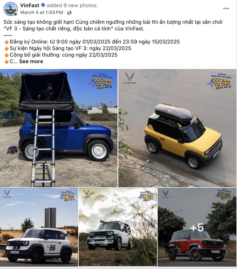 Người người, nhà nhà khoe các mẫu VinFast VF 3 "độc bản" trước ngày tranh tài cuộc thi sáng tạo ảnh 3
