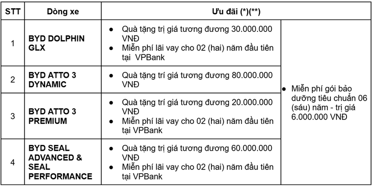 BYD Việt Nam triển khai chương trình ưu đãi đặc biệt 'mua xe nhận quà, không lo lãi suất' ảnh 1
