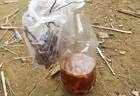 Hai người tử vong sau khi uống rượu ngâm rễ cây ảnh 1