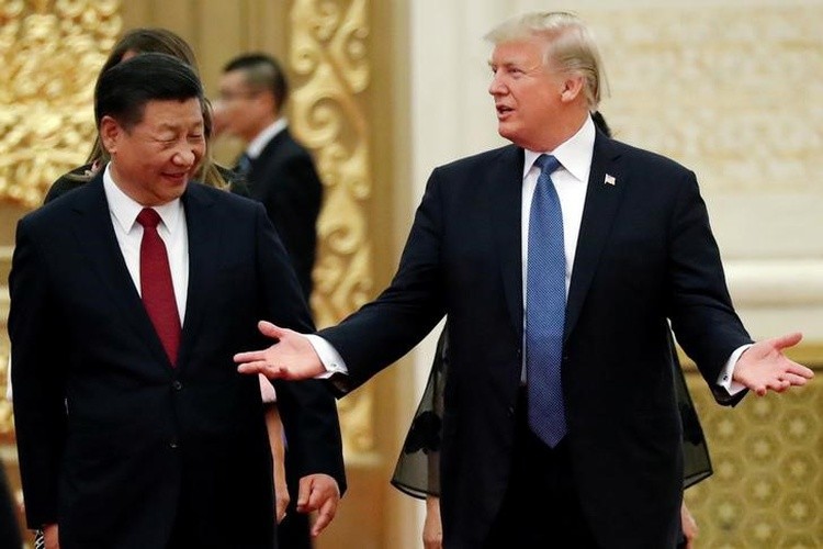Tổng thống Donald Trump có thể gặp mặt Chủ tịch Tập Cận Bình tại hội nghị G20 ảnh 1