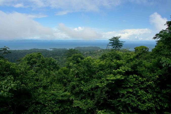 Anh: Kham pha nhung canh quan 'sieu thuc', dep den kho tin o Nam My hinh anh 7