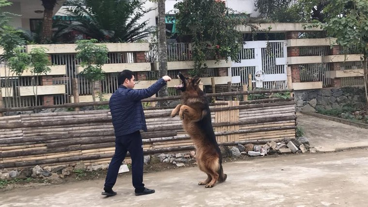 Gia tai trieu USD cua 'ong hoang nhac do' Trong Tan hinh anh 13