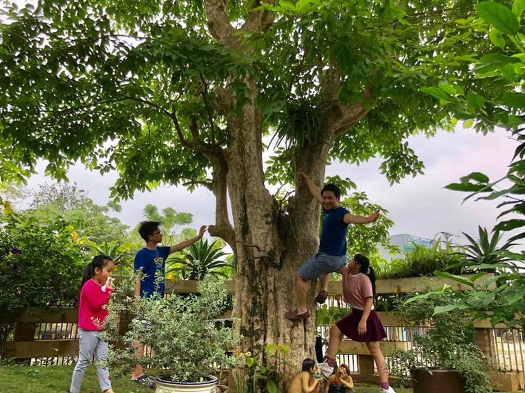 Gia tai trieu USD cua 'ong hoang nhac do' Trong Tan hinh anh 9