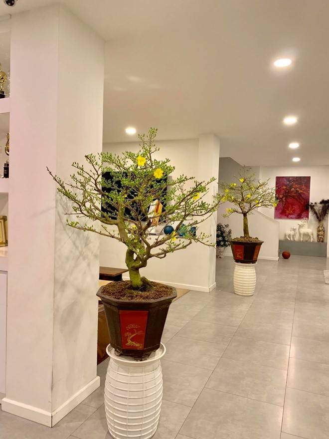 Nghe si Viet trang hoang nha cua chuan bi don Tet hinh anh 5