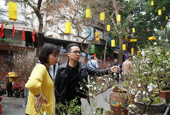 Đào, quất 'giá mềm' bán ngập chợ hoa tết Hàng Lược - ảnh 2