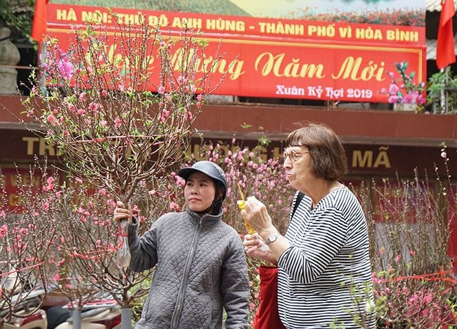 Đào, quất 'giá mềm' bán ngập chợ hoa tết Hàng Lược - ảnh 3