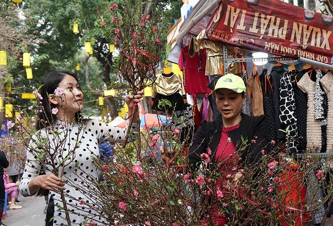 Đào, quất 'giá mềm' bán ngập chợ hoa tết Hàng Lược - ảnh 5