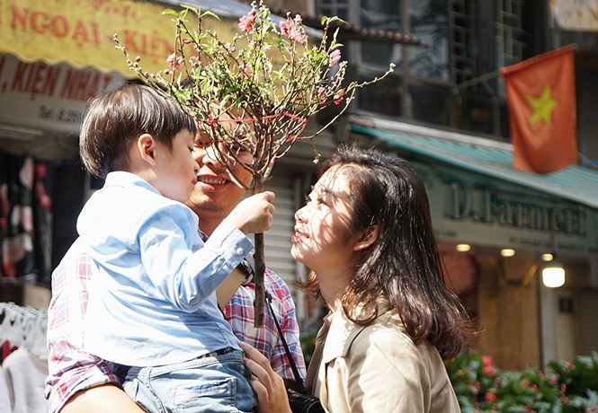 Đào, quất 'giá mềm' bán ngập chợ hoa tết Hàng Lược - ảnh 9