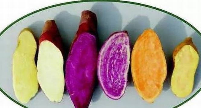 Ăn khoai lang buổi sáng tốt như 'thần dược', chữa nhiều bệnh nguy hiểm - ảnh 1