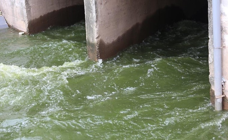 Thau rửa sông Tô Lịch: Chỉ hiệu quả khi sông đã được xử lý ô nhiễm triệt để ảnh 1