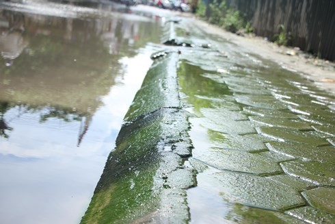 Cận cảnh con đường ngập úng, ứ đọng nước thải bất kể nắng, mưa tại Hà Nội ảnh 6