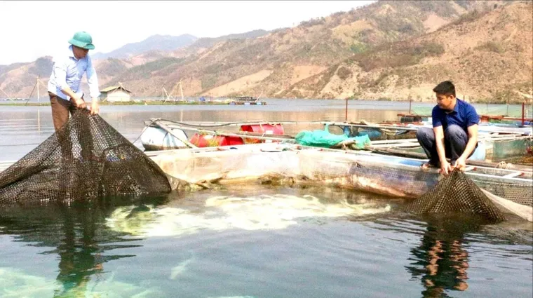 Sơn La: Khai thác lợi thế phát triển nông nghiệp bền vững ảnh 1