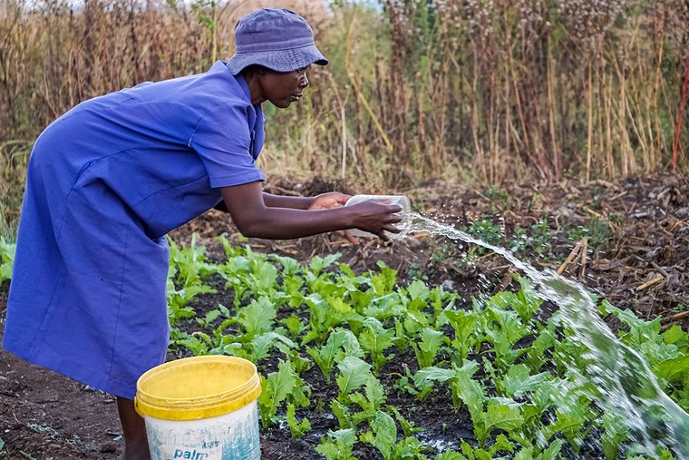 Phong vị ẩm thực truyền thống được gìn giữ trong trường học ở Namibia và Zimbabwe ảnh 1