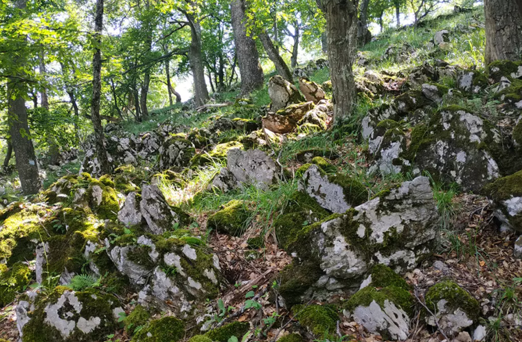 UNESCO triển khai chu kỳ thứ 3 sáng kiến phát triển bền vững ảnh 1