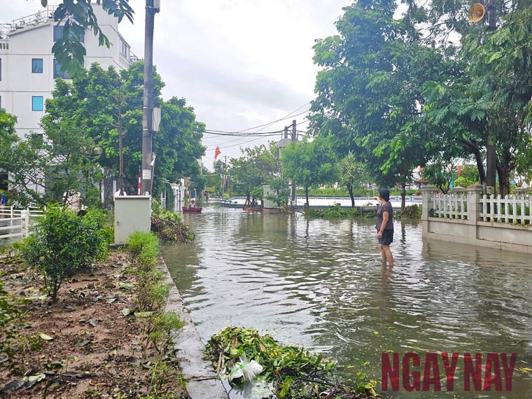 Hà Nội: Nước sông Hồng dâng cao gây ngập sâu tại quận Long Biên ảnh 6