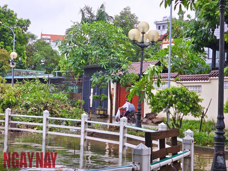 Hà Nội: Nước sông Hồng dâng cao gây ngập sâu tại quận Long Biên ảnh 10