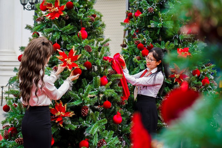 Giới trẻ thích thú check-in vườn thông “khổng lồ” tại khu đô thị Danko City ảnh 3