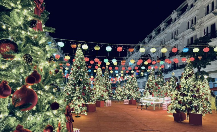 Giới trẻ thích thú check-in vườn thông “khổng lồ” tại khu đô thị Danko City ảnh 1