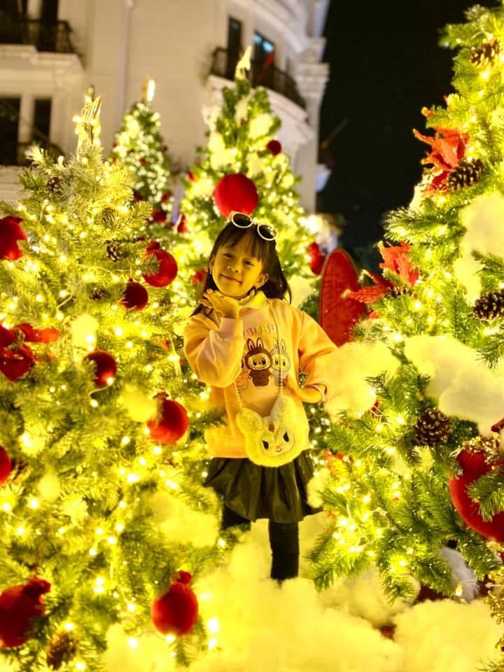 Giới trẻ thích thú check-in vườn thông “khổng lồ” tại khu đô thị Danko City ảnh 4