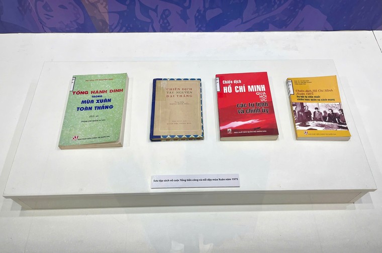 Khai mạc trưng bày chuyên đề “Đất nước trọn niềm vui” ảnh 6