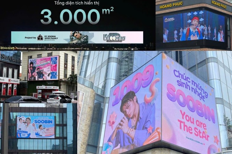 Sự chuyển mình trong văn hóa thần tượng của người Việt ảnh 6