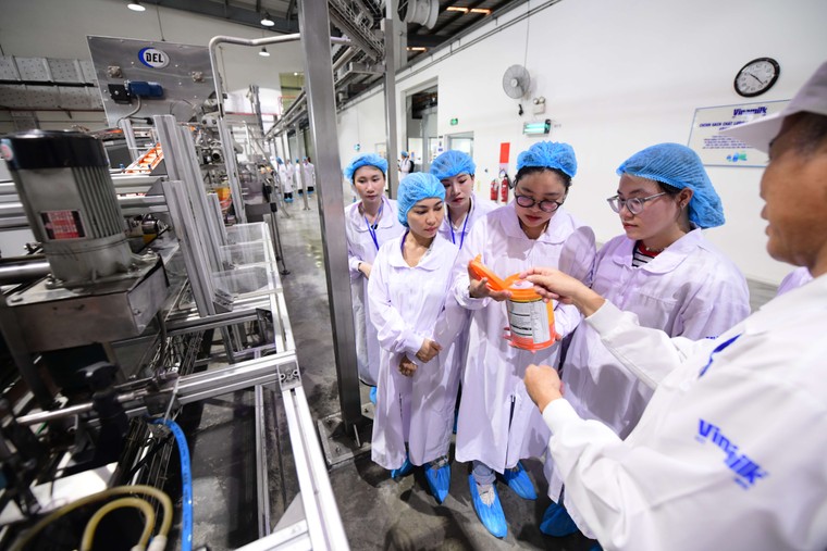 Chứng nhận độc lập – Căn cứ để người tiêu dùng lựa chọn sữa bột ảnh 3