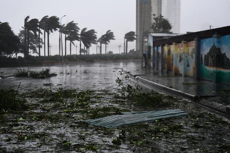 “Bắt nét” sự thật giữa những tâm bão ảnh 4