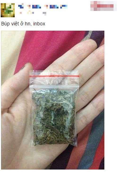 Thâm nhập thế giới dân chơi: Một lần làm 'thanh niên chuyên cần' ảnh 5