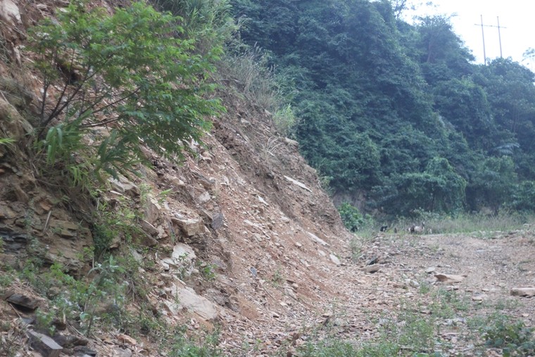 Học sinh đánh cược tính mạng qua sông tìm chữ ảnh 4