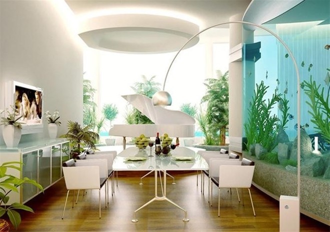 7 nơi cấm kị đặt bể cá trong nhà bạn bên biết ảnh 1