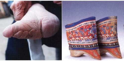 Không phải nhan sắc, hoa hậu TQ thời xưa đẹp nhất ở vị trí nào? ảnh 3