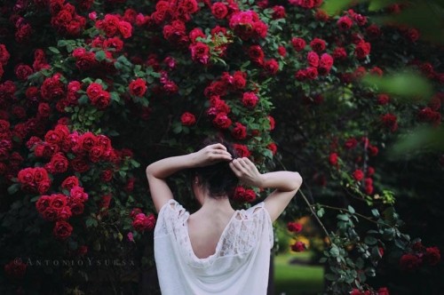 Phải kiếm bao nhiêu TIỀN để đủ cho một ĐỜI NGƯỜI? ảnh 1