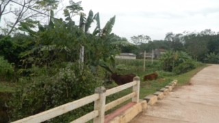 Kỳ 4: Huyện Yên Thế 'bất lực' hay làm ngơ cơ sở gây ô nhiễm? ảnh 2