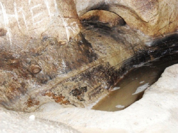 Bí ẩn bầy rắn độc canh kho giữ tiền ở Thái Nguyên ảnh 2