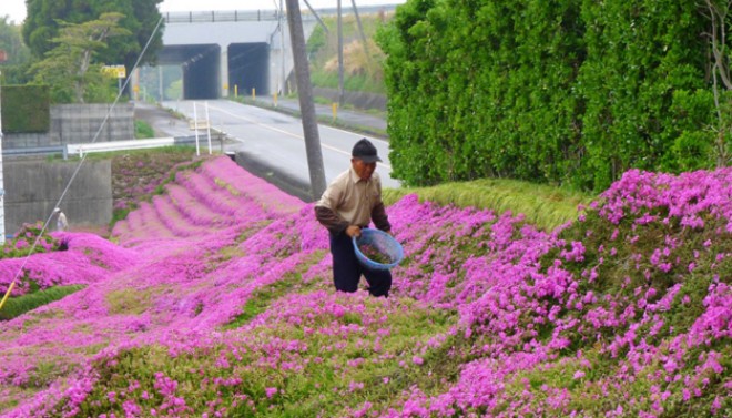 Người phụ nữ nào cũng muốn được chồng 'chiều' như bà vợ này ảnh 3