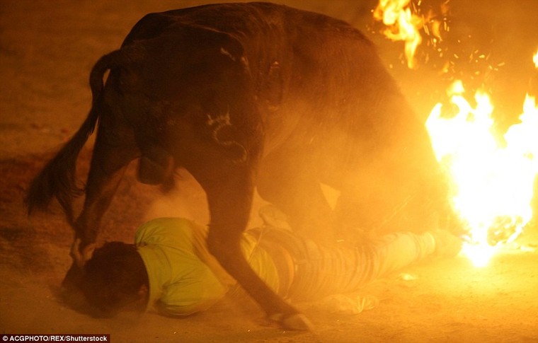 Sửng sốt với lễ hội đốt sừng bò ở Ecuador ảnh 4