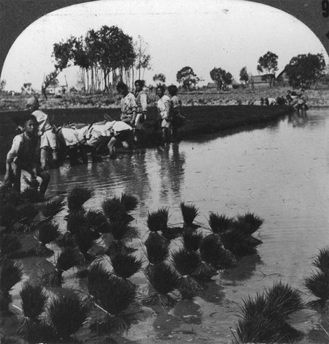 Trung Quốc cuốn hút trong bộ ảnh đen trắng thập niên 1930 ảnh 7