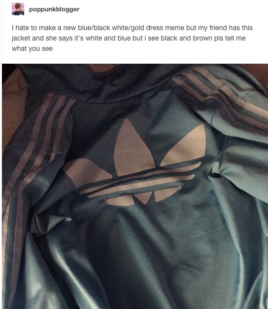 Thế giới mạng lại tranh cãi nảy lửa về màu sắc của chiếc áo này ảnh 2